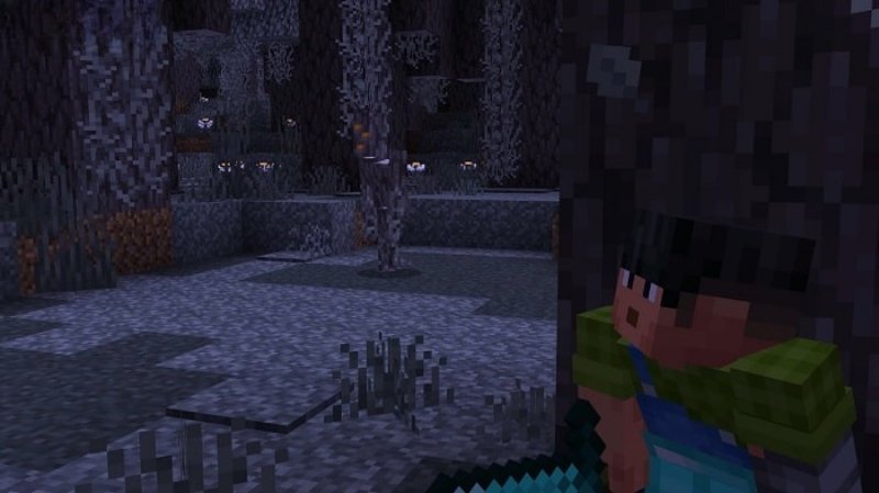 Điểm nổi bật và những cập nhật mới trong Minecraft 1.21.50