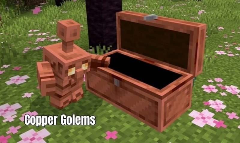 Đồ họa và Âm thanh Minecraft 1.21.120