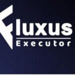 Fluxus Executor