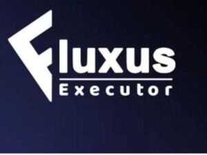 Fluxus Executor