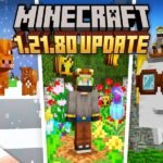 Minecraft 1.21.80
