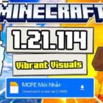 Minecraft 1.21.114