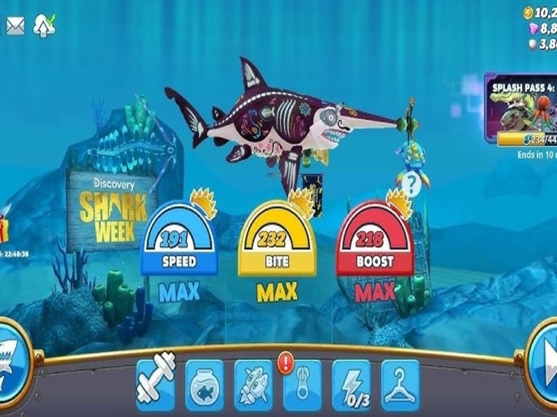 Hệ thống "Gold Rush" (Cơn sốt vàng)