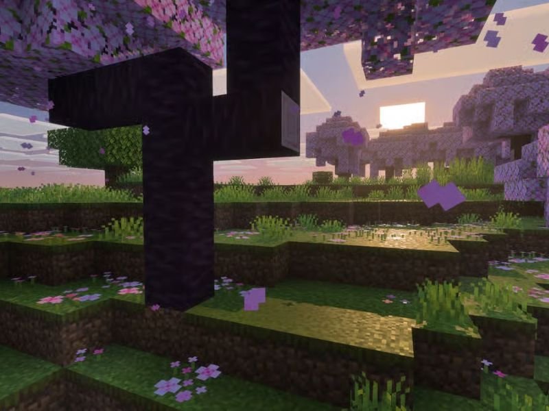 Hệ thống đồ họa Vibrant Visuals