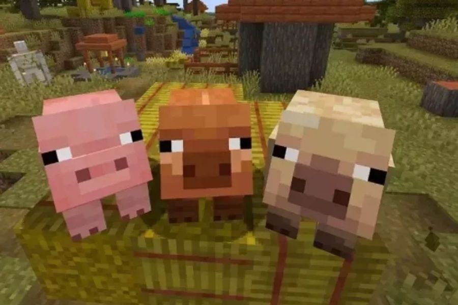 Lối chơi chi tiết: Sáng tạo không giới hạn