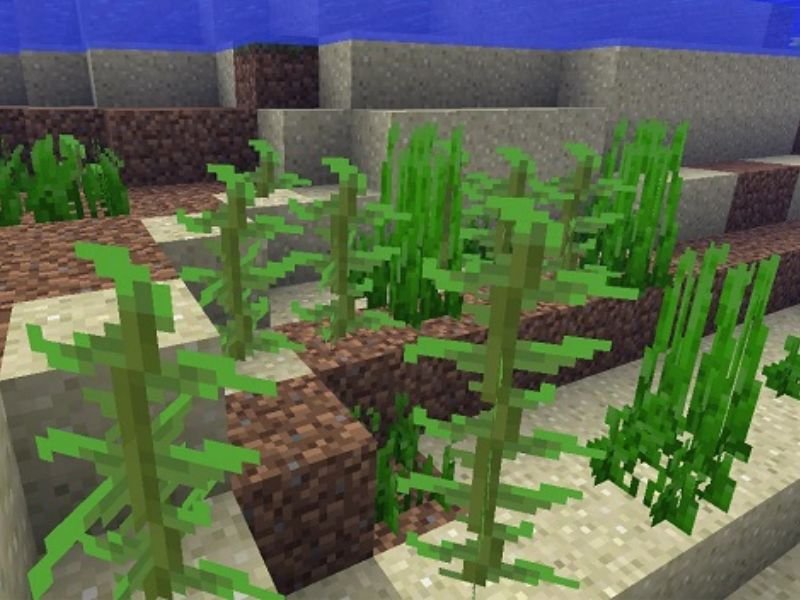 Lối chơi chi tiết trong Minecraft 1.21.30