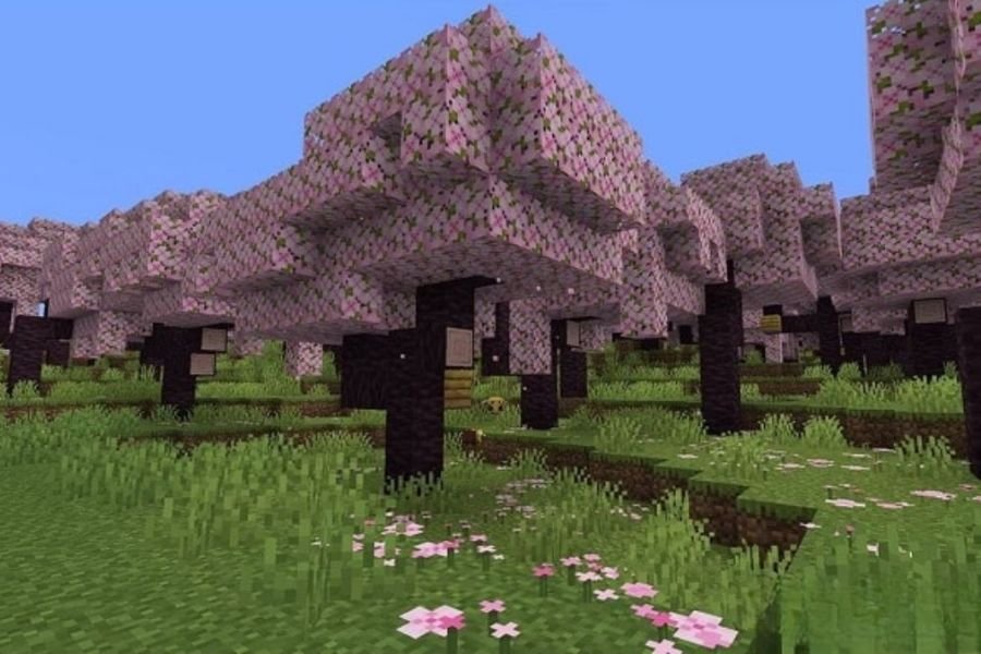 Quần xã Rừng hoa anh đào (Cherry Grove)